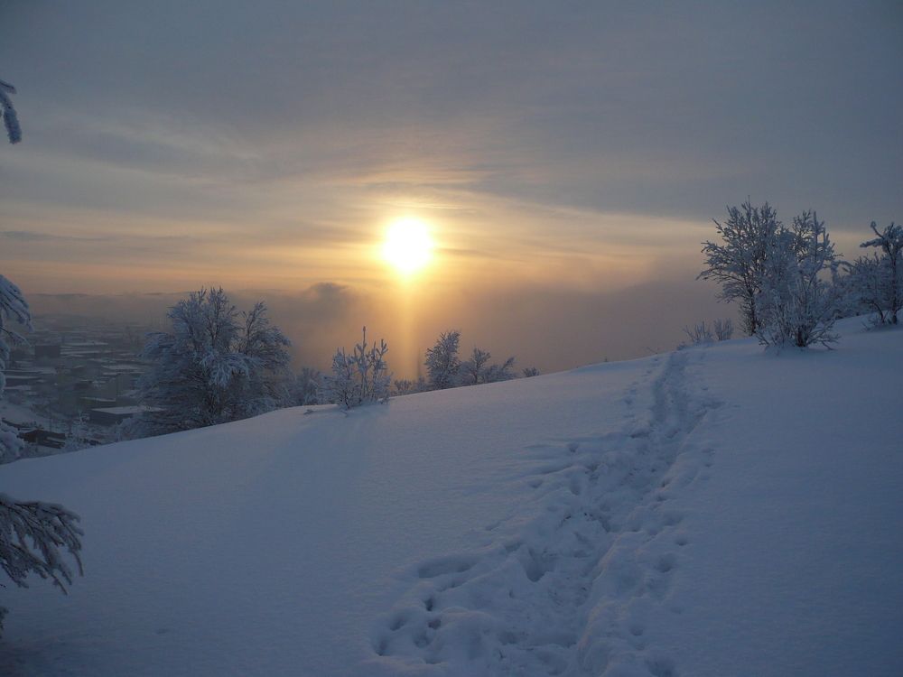 Уходящее в туман