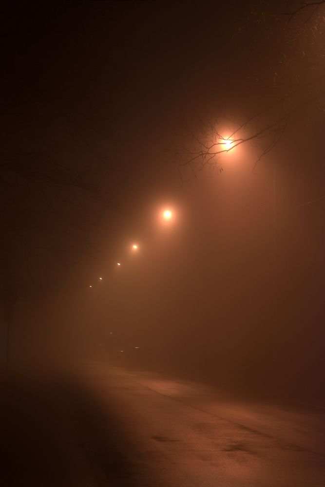 Photograph by Максим Трифонов