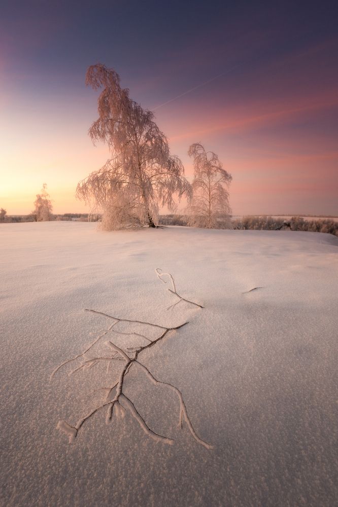 Photograph by Николай Брытков