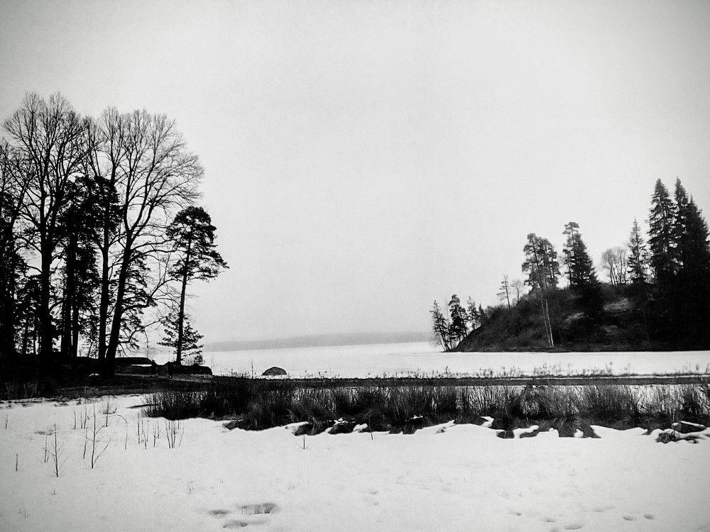 Photograph by Irina Mihailovskaya