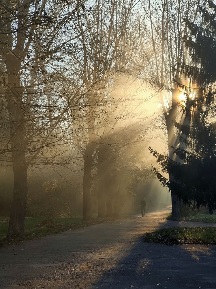 Photograph by Максим Трифонов