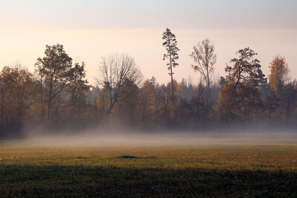 Photograph by Guntars