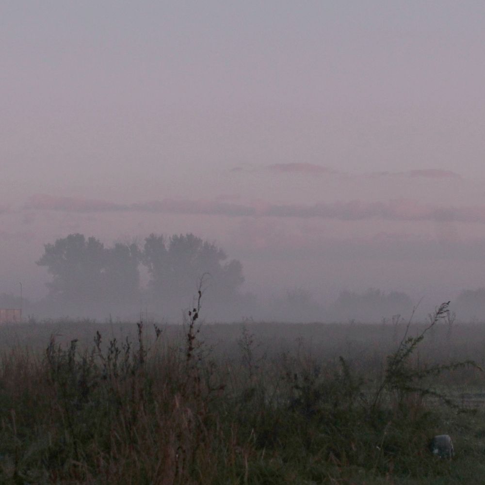 Photograph by Татьяна Долгушева