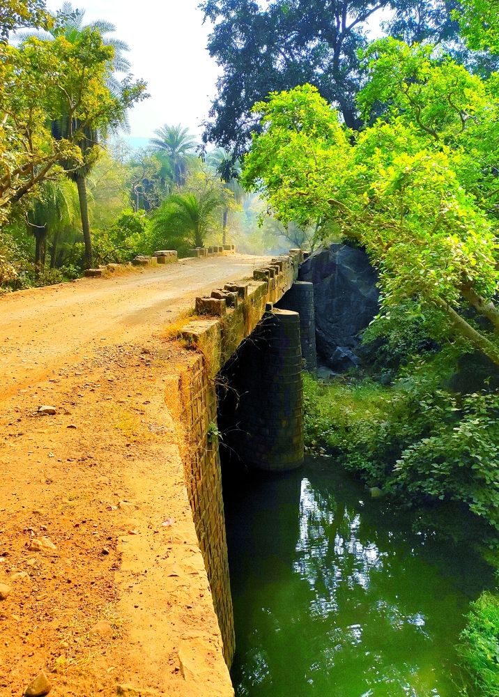 Photograph by Ritu Dinkar