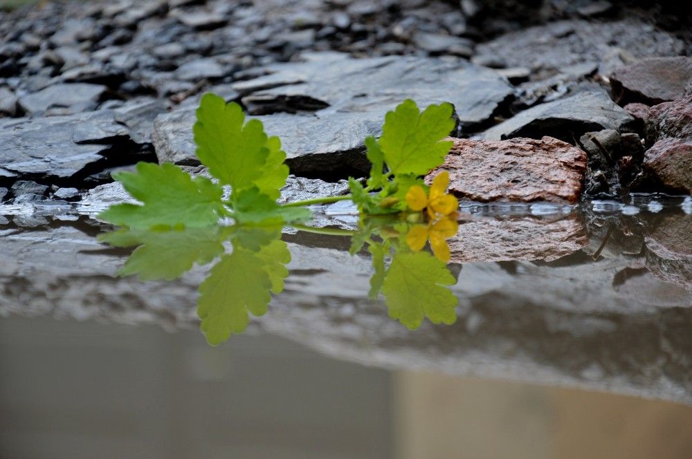 Photograph by Ольга Шевцова