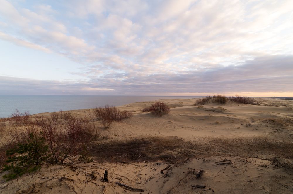 Photograph by Олег Сальников