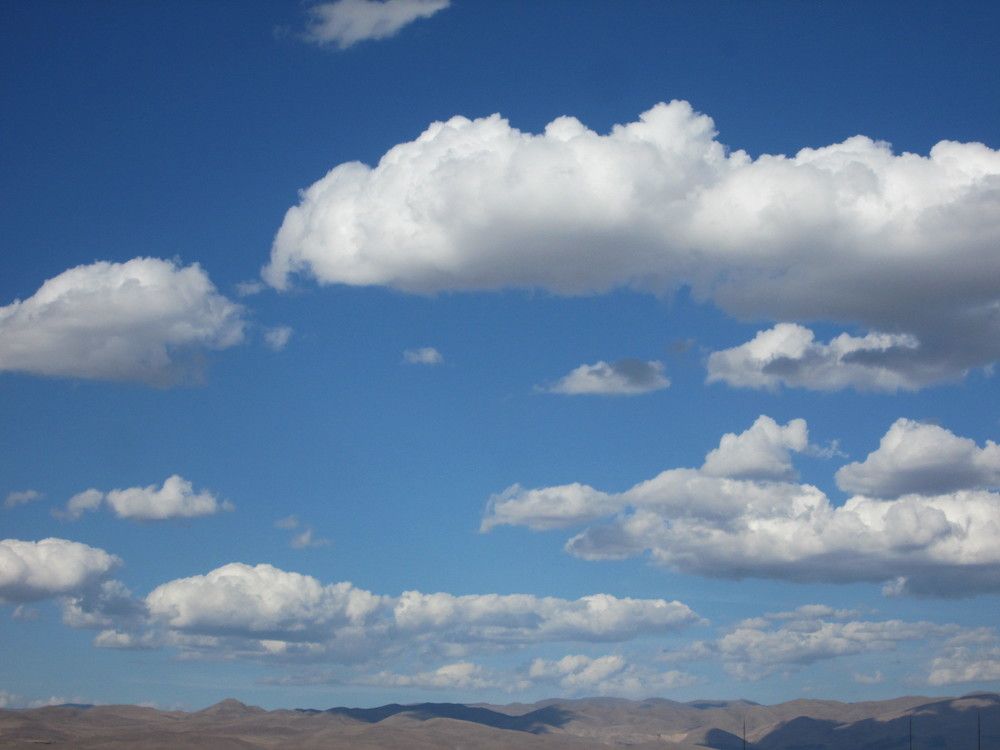 Photo #6897372