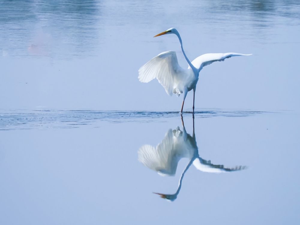 Photograph by Gotcha Biniashvili