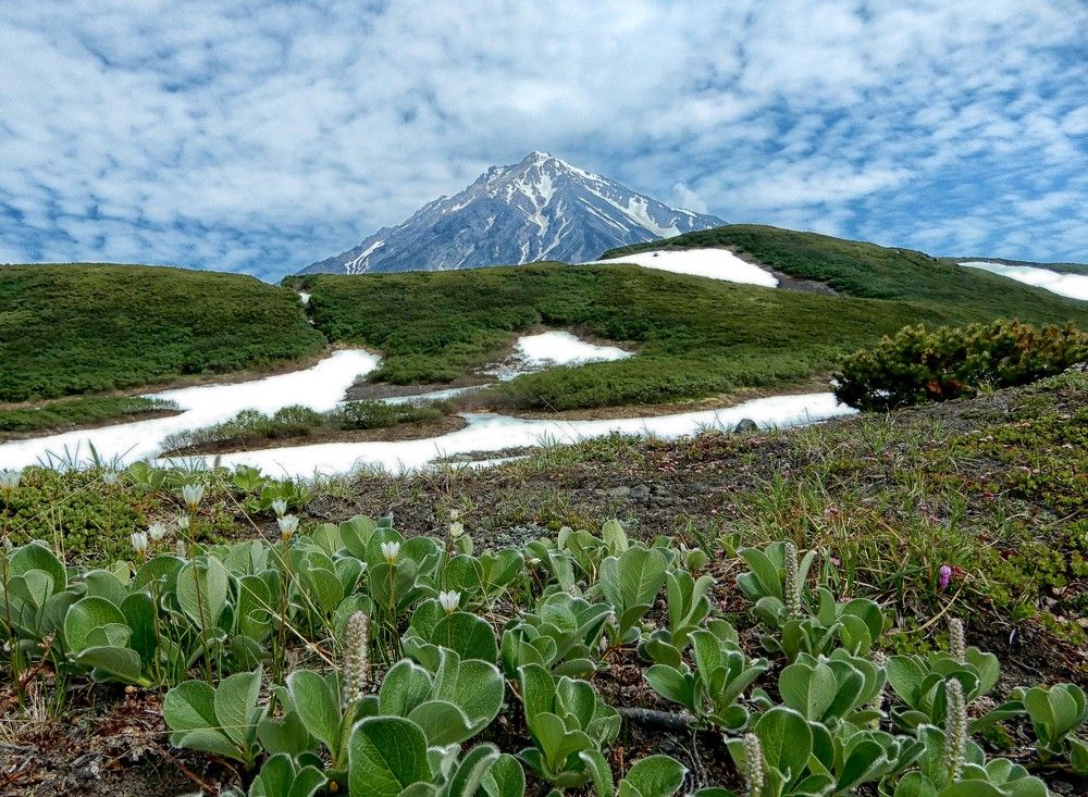 Photograph by София Гавриловна Вотякова