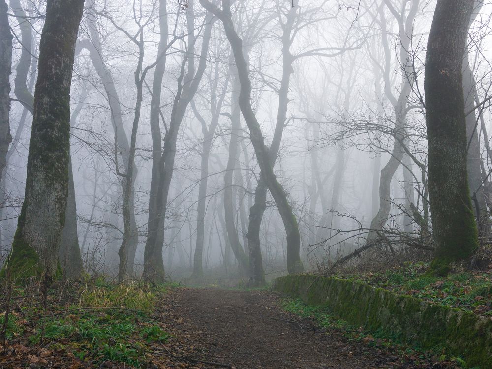 Фотография автора Максим