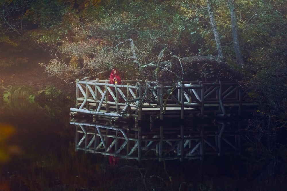 Фотография автора AYLIN EROZCAN