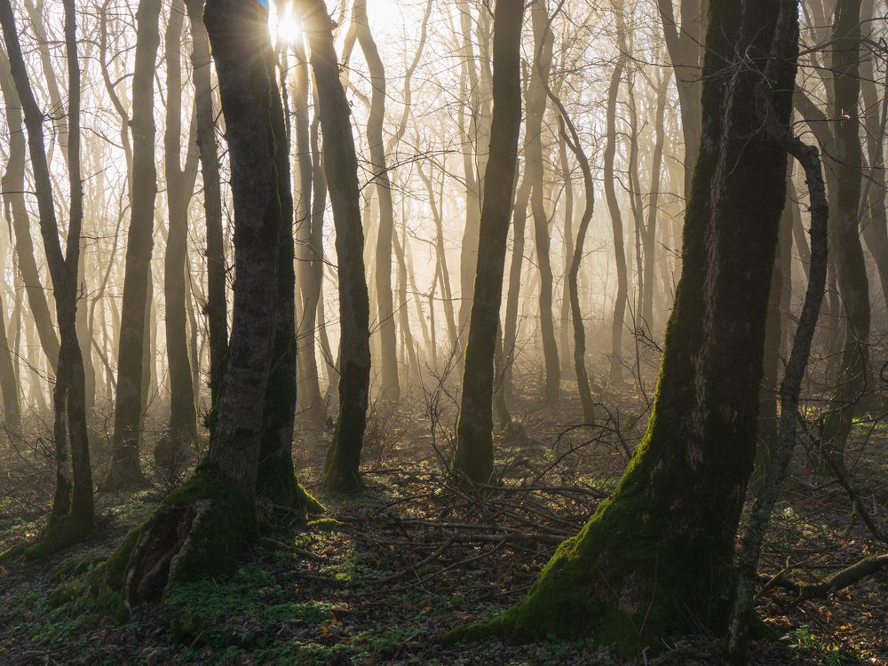 Фотография автора Максим