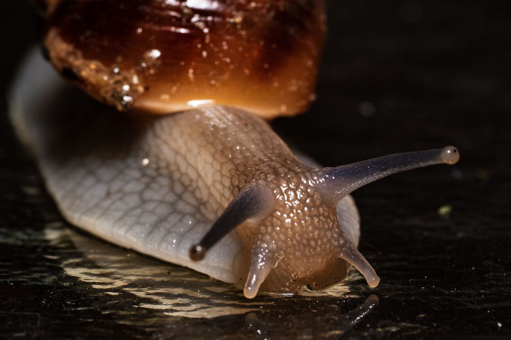 Photograph by Artur Tsvaygenbaum