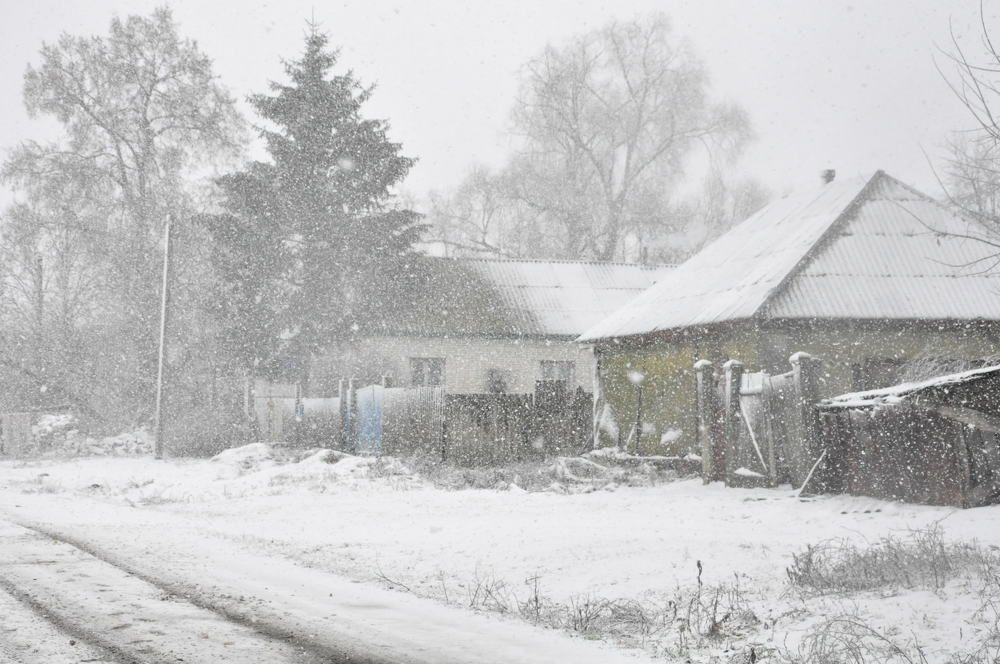 Photograph by Галина Лысых