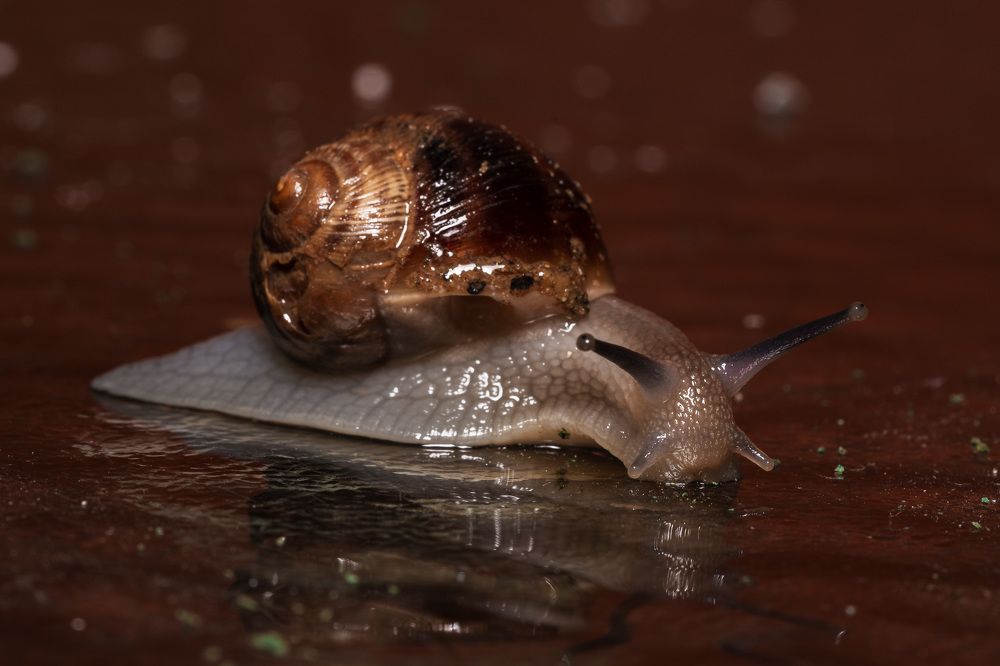 Photograph by Artur Tsvaygenbaum