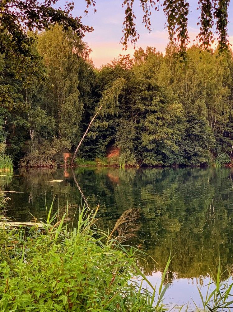 Photograph by Elena Lukashina