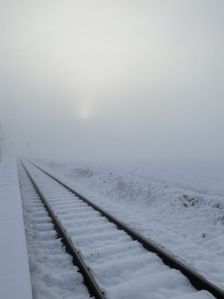 Photograph by Мария Самсонова