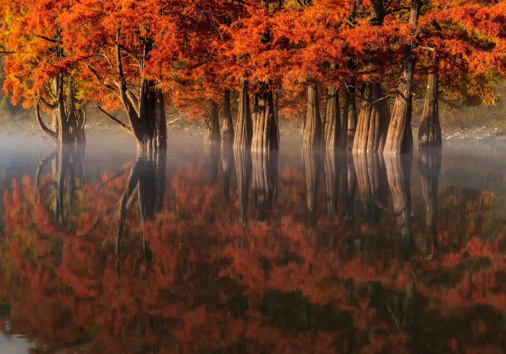 Photograph by Валерий Одинцов