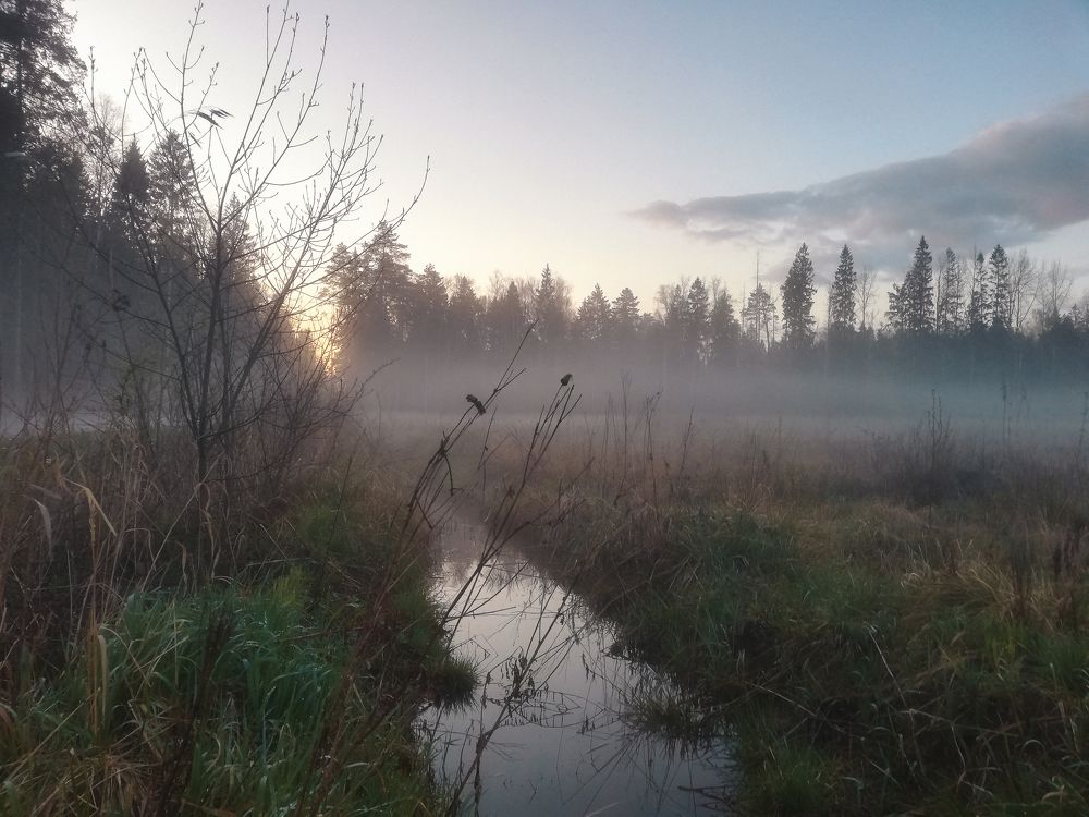 Photograph by Майя Коваль