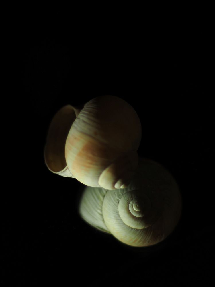 Photograph by Наталья