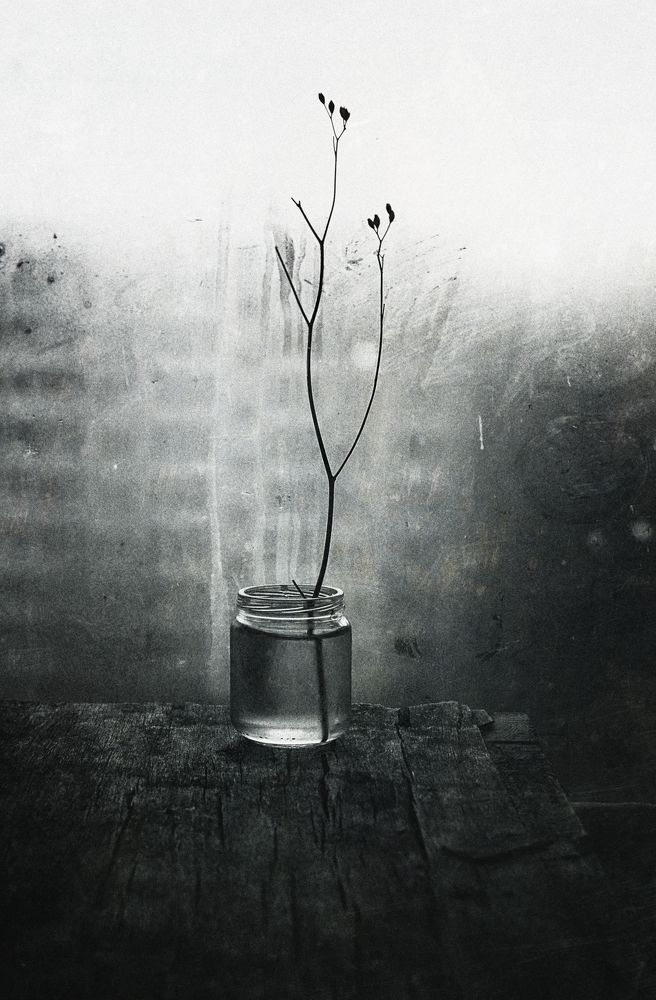 Photograph by Мария Сапего