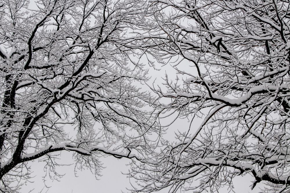 Photograph by Виктория Писаренко