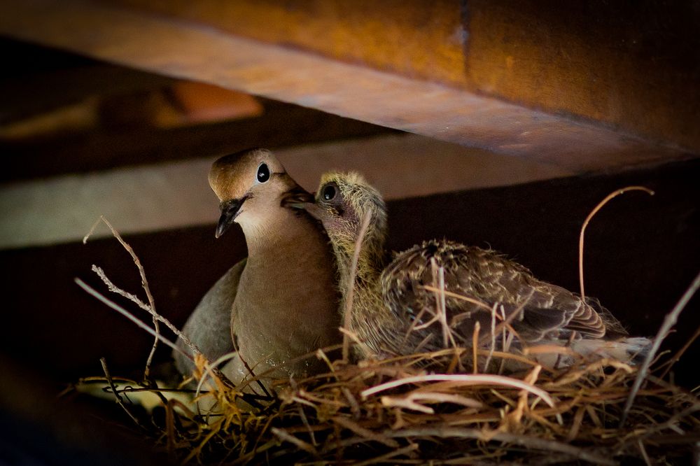Photograph by Marcia Camargo