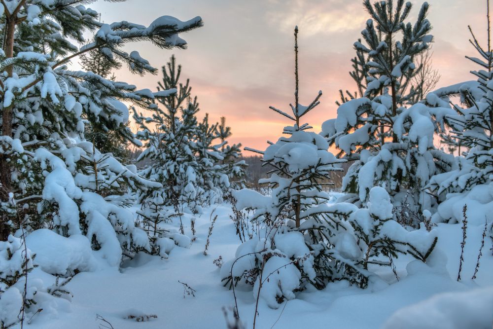 Photograph by Андрей Зуев