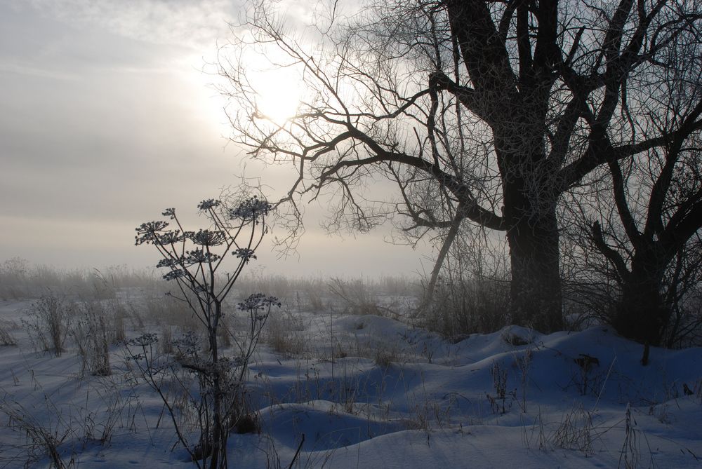 Photograph by Андрей Зуев