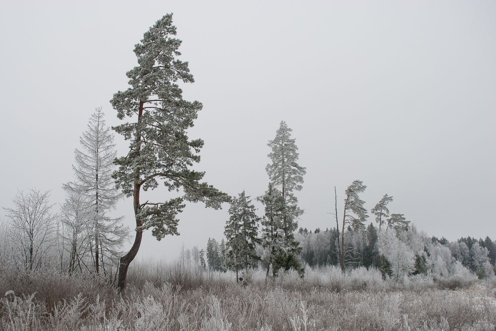 Photograph by Андрей Зуев