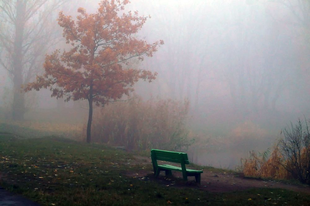 Photograph by Елена Маковецкая