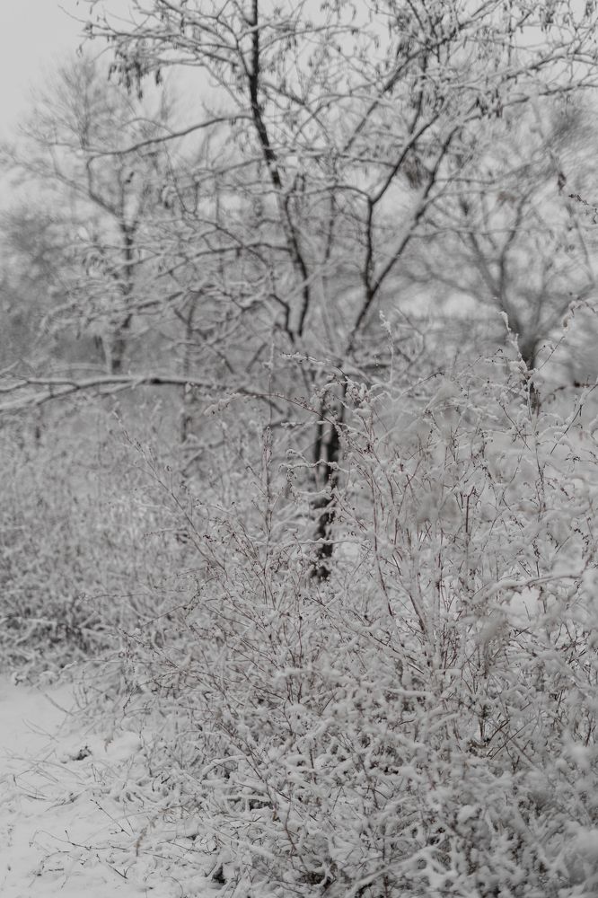 Photograph by Анюта Шелофаст