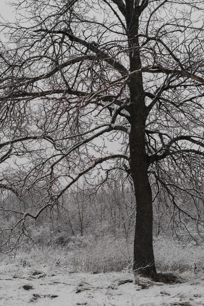 Photograph by Анюта Шелофаст