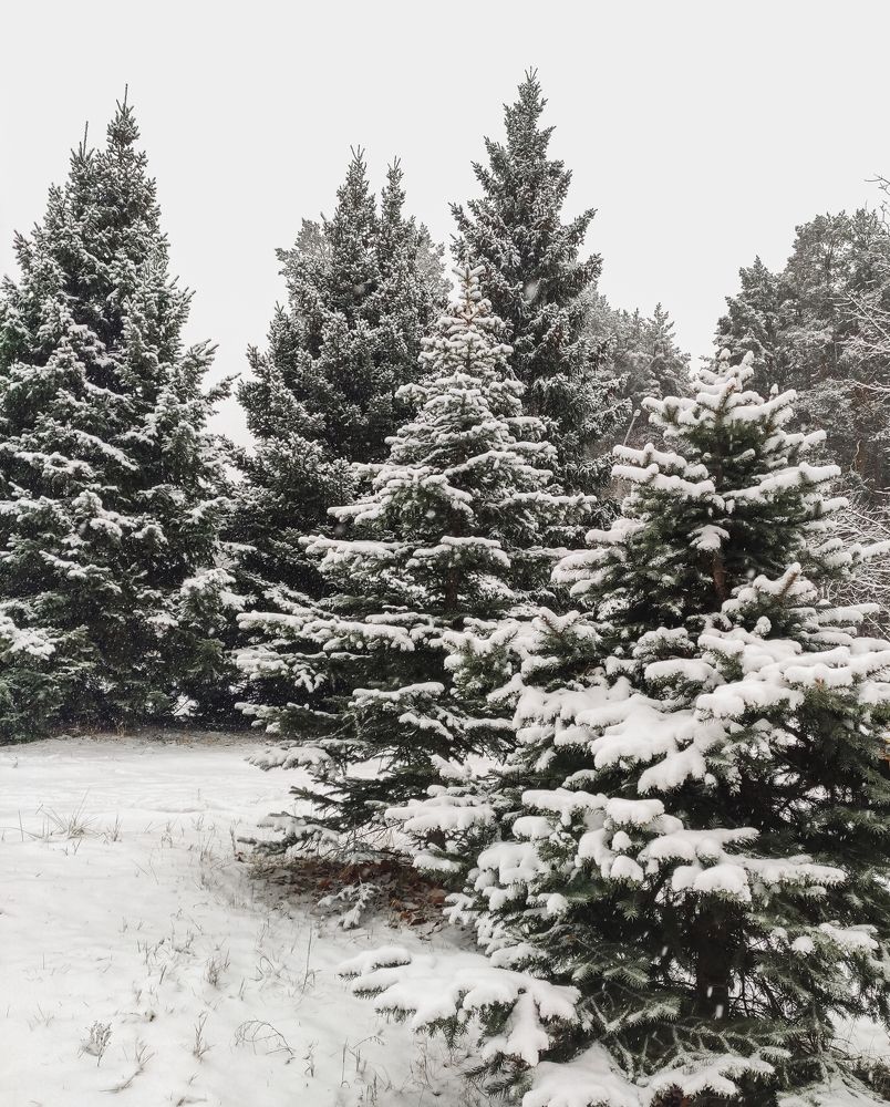 Photograph by Наталья К