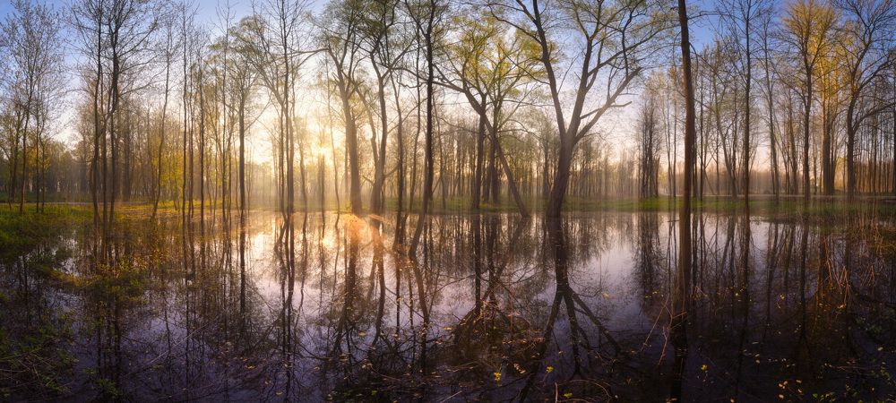 Photograph by Сергей Кочергин