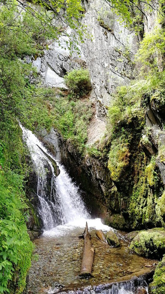 Photograph by Сергей