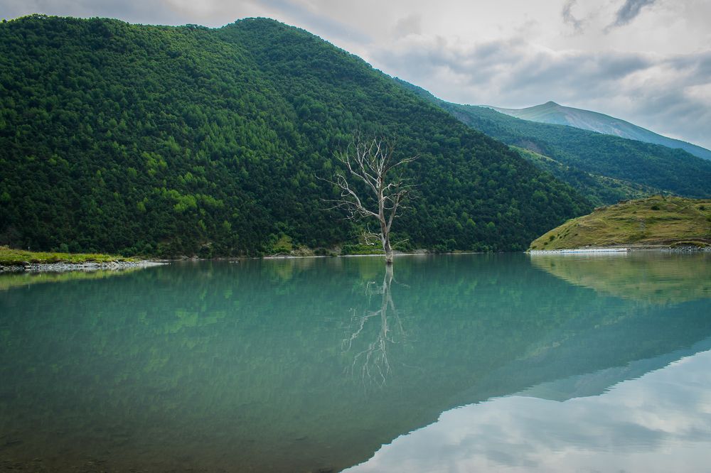 Фотография автора Оксана Белозерская