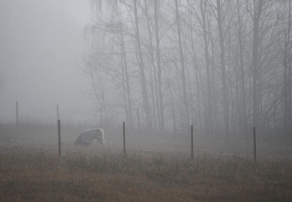 Фотография автора Anna NovaLova