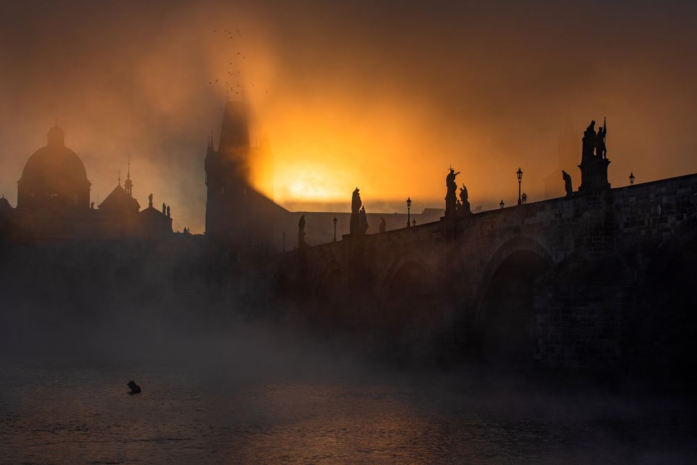 Фотография автора konstantin zhdanov