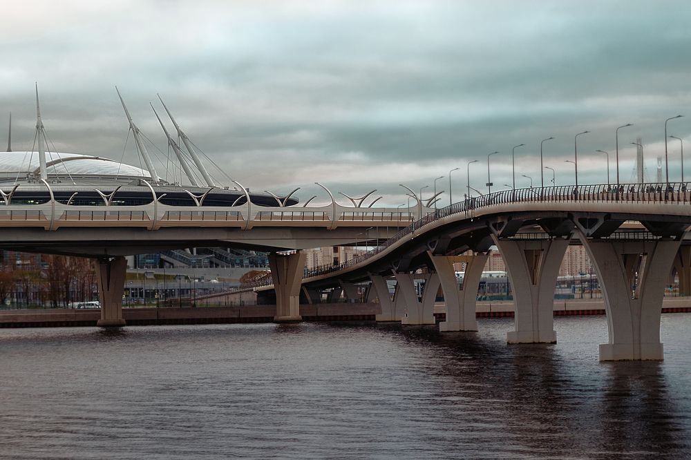 Фотография автора Виктория Шаманова