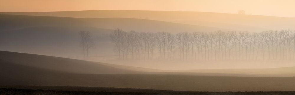 Фотография автора konstantin zhdanov