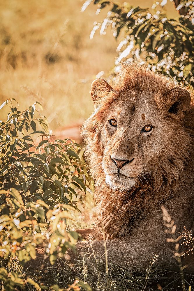 Photograph by Елена Митрофанова