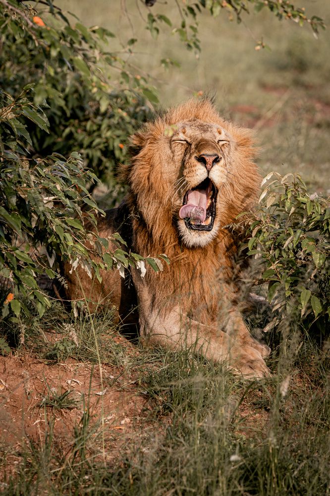 Photograph by Елена Митрофанова