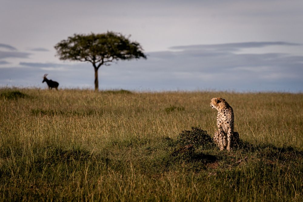Photograph by Елена Митрофанова