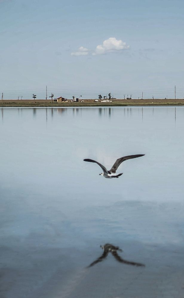 Photograph by Юлия