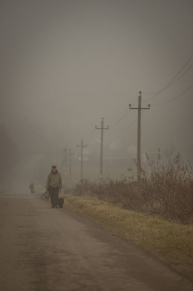 Photograph by Елена Митрофанова