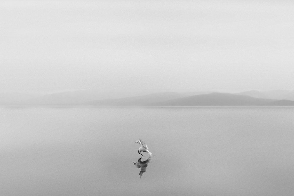 Photograph by Варвара Штерн