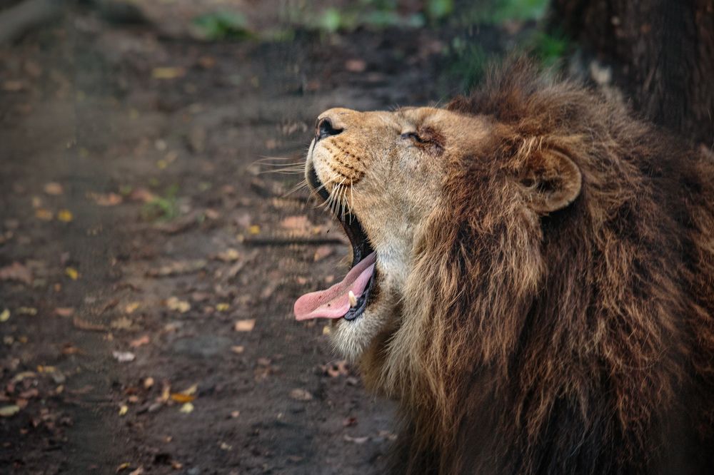 Photograph by Andrey Matveenko