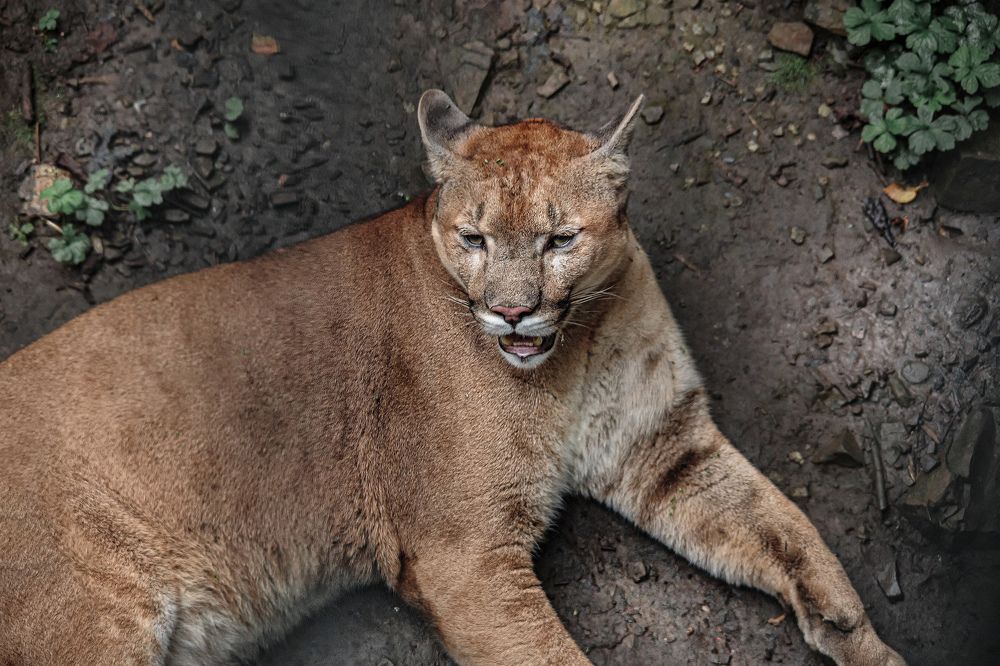 Photograph by Andrey Matveenko