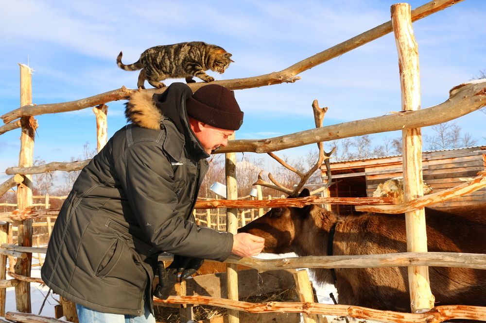 Photograph by Андрей Вокоморов